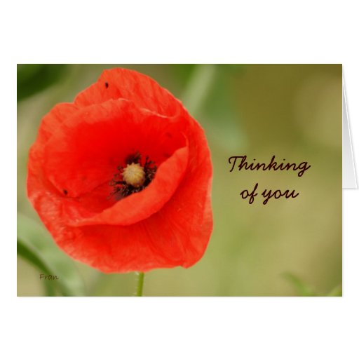Thinking of you cards