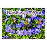 Thinking of You Cards