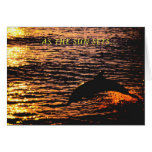thinking of you ...dolphin sunset jump card