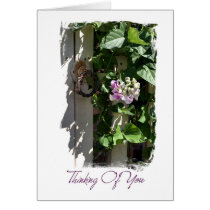 Thinking of you - Gate with Flowers cards