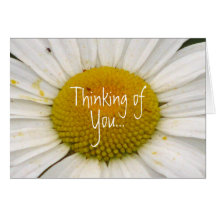 Thinking of, You... Greeting Cards