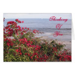 Thinking Of You Malibu Greeting Card