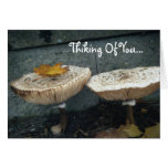 Thinking Of You Mushroom Card
