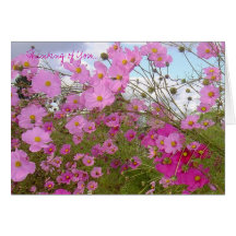'Thinking of You' photo notecard