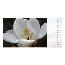 "Thinking of you" post card Customized Photo Card