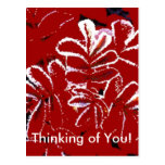 Thinking of You ~ Red Leaves in Winter Postcard