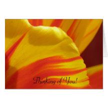Thinking of You Tulip Card