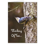 Thinking Of You Woodpecker Card