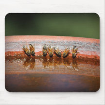 Thirsty Bees Mouse Pad