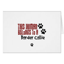 This Human Belongs to a Border Collie Cards