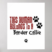 This Human Belongs to a Border Collie Posters