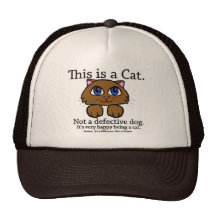 This is a Cat Hats