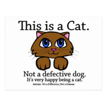 This is a Cat Postcard