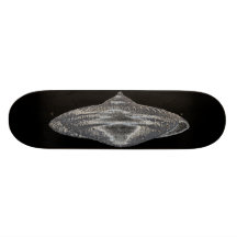 This is how I roll. Skate Board