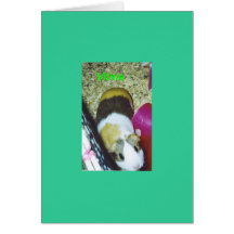This little Piggy Greeting Cards