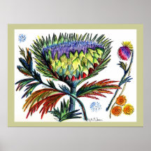 Thistle42 Drawing Print