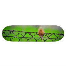 Thistle Skateboards