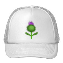 thistle_Vector_Clipart Mesh Hat