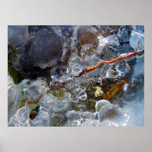 Thorn in Round Bubbles of Ice from Freezing Rain Print