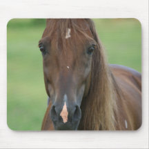 Thoroughbred Race Horse Mouse Pad