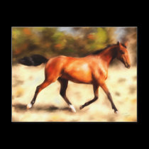Thoroughbred Spirit Horse Art postcards
