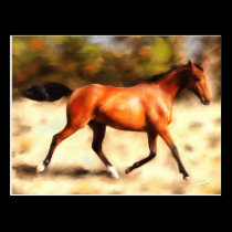 Thoroughbred Spirit Horse Art postcards