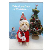 Thoughts of You at Christmas Cards