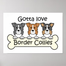 Three Border Collies Poster
