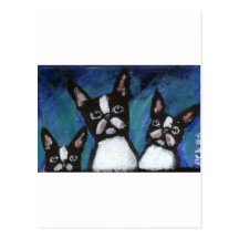 Three Boston Terriers design Postcard