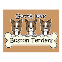 Three Boston Terriers Postcards