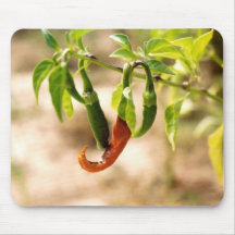 Three Chilies Mouse Mats