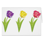 Three colourful tulips cards