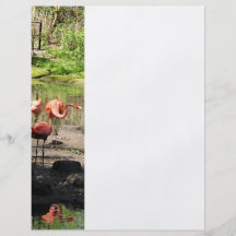 Three Flamingos Full Color Flyer
