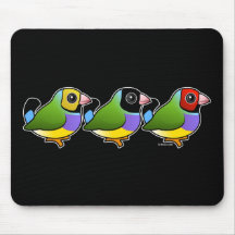 Three Gouldian Finches Mousepad