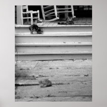 Three Kittens Posters
