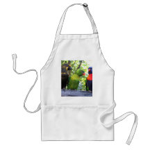 Three Lorikeets Aprons