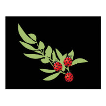 Three Lucky Ladybugs Postcard
