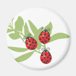 Three Lucky Ladybugs Refrigerator Magnet