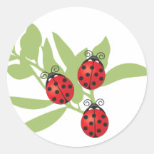 Three Lucky Ladybugs Stickers