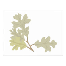 Three Oak Leaves Postcard