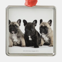 Three Pedigree Puppies Christmas Ornament