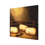 Three Prize Pigs outside a Sty Canvas Prints