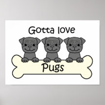 Three Pugs Poster