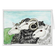Three Sheep Card