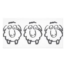 three sheeps photo card template