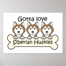 Three Siberian Huskies Print