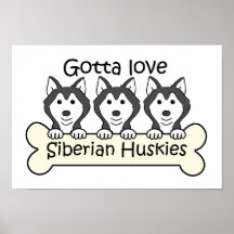 Three Siberian Huskies Print