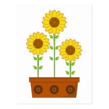 Three Sunflowers Postcard