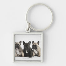 Threee Pedigree Puppies Key Chains