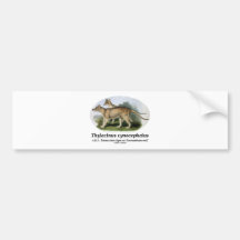 Thylacinus cynocephalus (Tasmanian tiger or wolf) Bumper Stickers